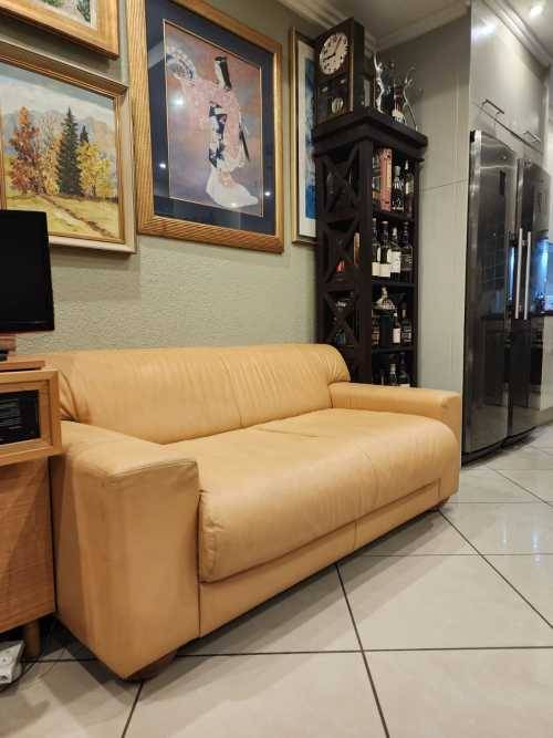 2 Seater Genuine Leather Couch