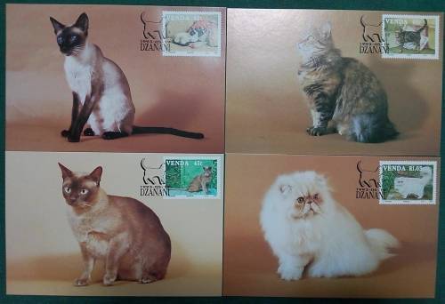 Thematics - Cats - 4 Beautiful Postcards!!!