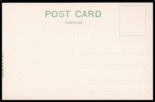 Early 1900s Unused Divided Postcard - G.B.&Co No.187- "Lions's Cage in the Zoological Gardens. Pta"