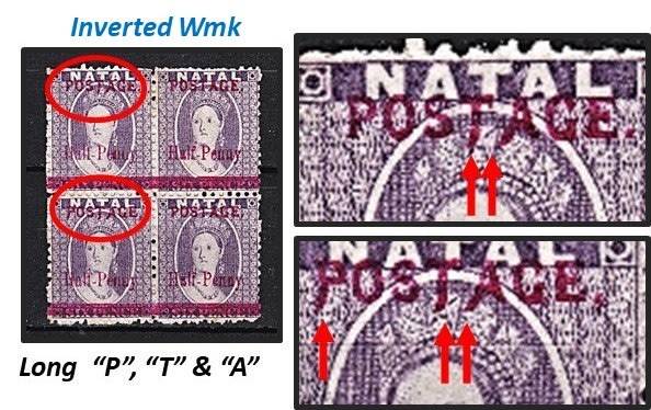 Great Study of the 1895 Natal Queen Victoria (SACC.107) VARIETIES - Some Very Scarce !!!