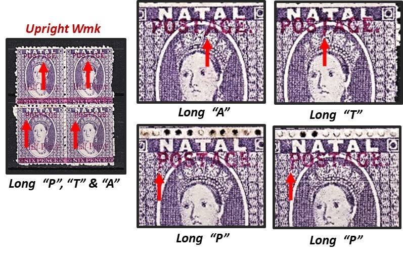 Great Study of the 1895 Natal Queen Victoria (SACC.107) VARIETIES - Some Very Scarce !!!
