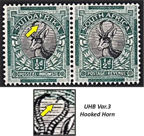 1930 Union 1/2d ROTO UMM(**) UHB Var.3 - Hooked Horn - Scarce Variety!