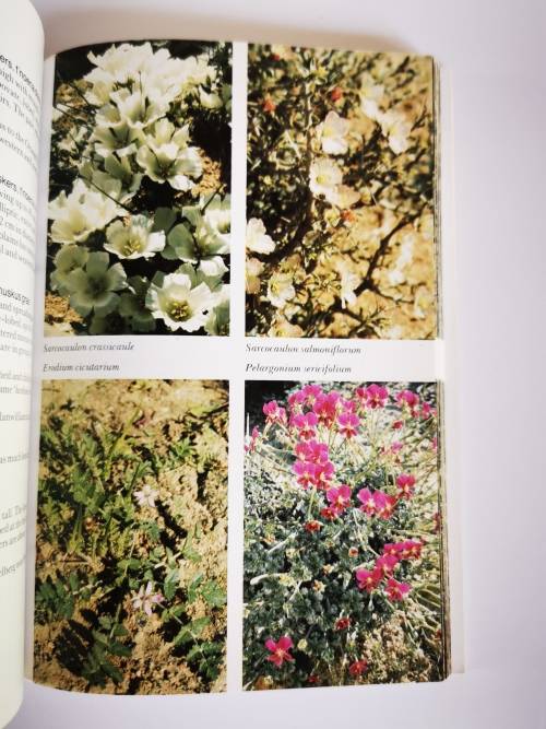 Namaqualand and Clanwilliam South African Wild Flower Guide