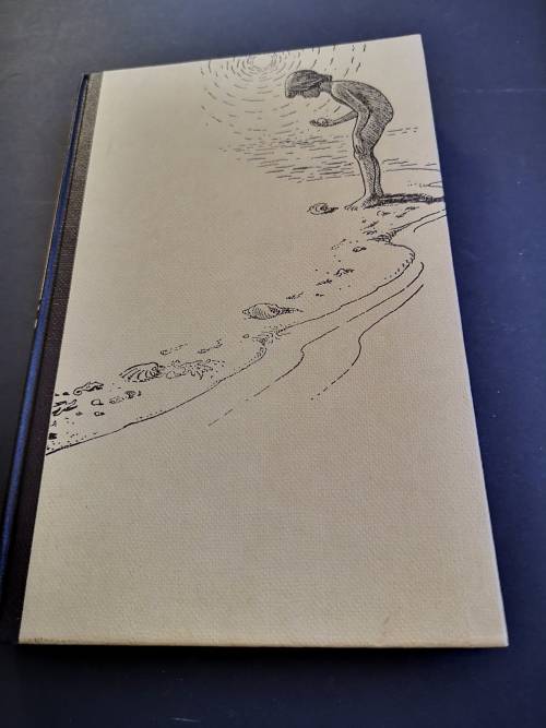 Marine Shells of Southern Africa by D H Kennelly