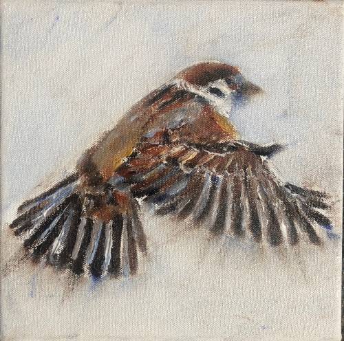 Sparrow 1