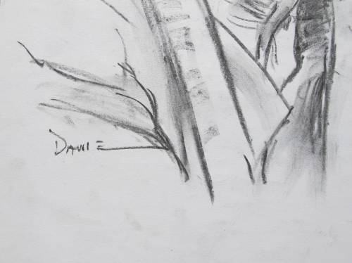 PREPARATION SKETCHES BY DANIE CRONJE
