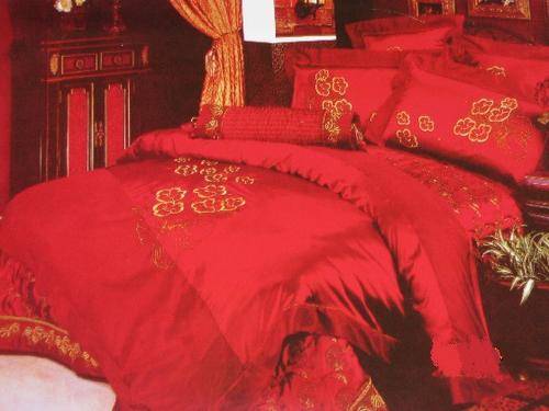 6 Piece Embroidered Duvet Cover Set