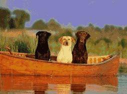 PT095 Gone fishing 259 x 194