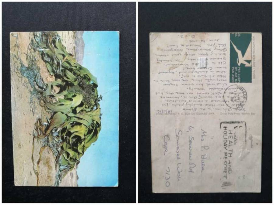 Post Card used