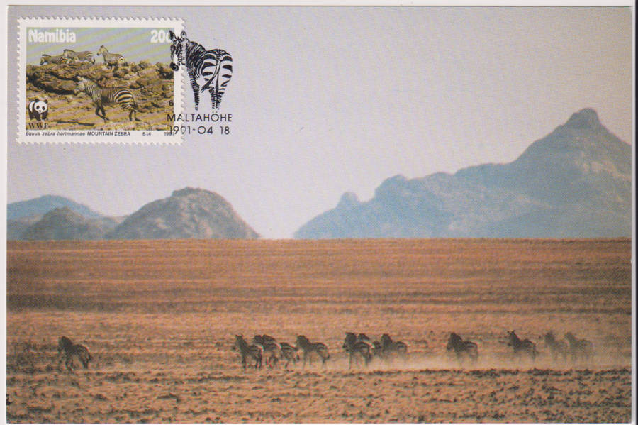 Post Card / Maxi Card Not used