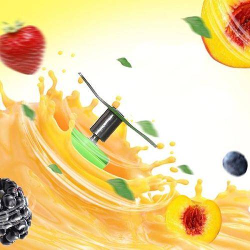 PORTABLE JUICE BLENDER BOTTLE