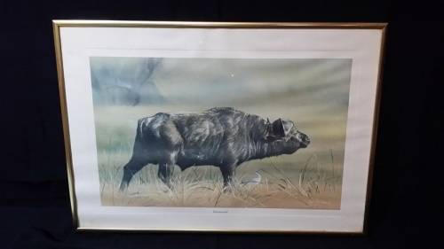 ART : BUFFALO DOWNWIND PRINT BY PAUL BOSMAN 77 : METAL AND GLASS FRAME