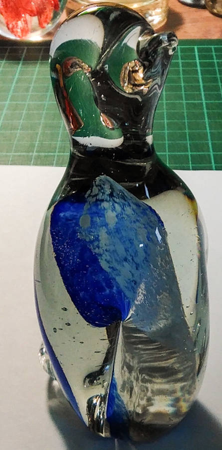 Ngwenya glass penguin