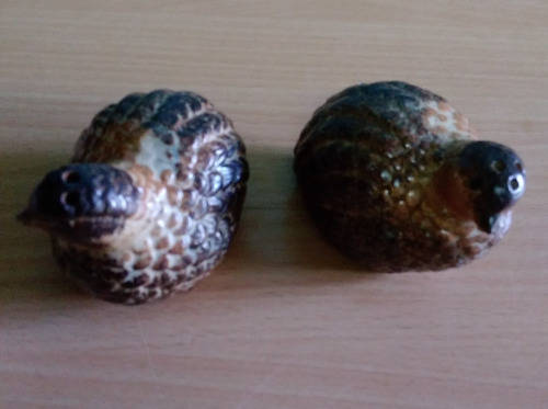Quail salt and pepper set
