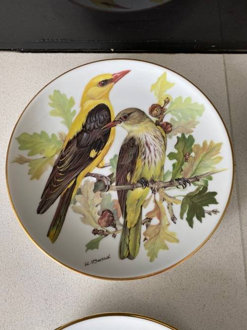 VINTAGE BY ALT TIRSCHENREUTH GERMANY SIGNED U. BAND and NUMBERED FOR WWF SET OF 7 x BIRD PLATES