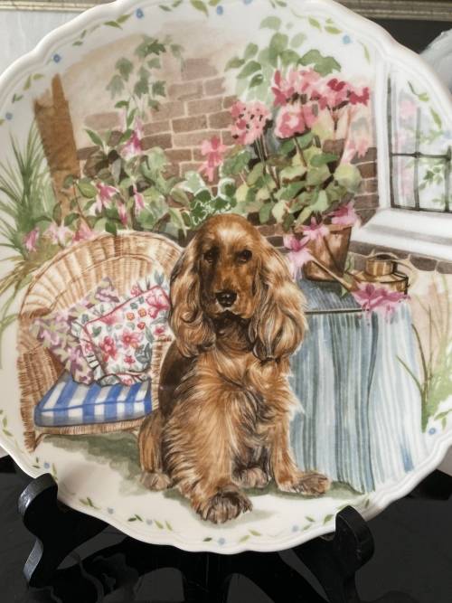 ROYAL ALBERT ENGLAND `DEVOTION` PLATE MAN`S BEST FRIEND COCKER SPANIEL NO.2 OF 1989 COLLECTION