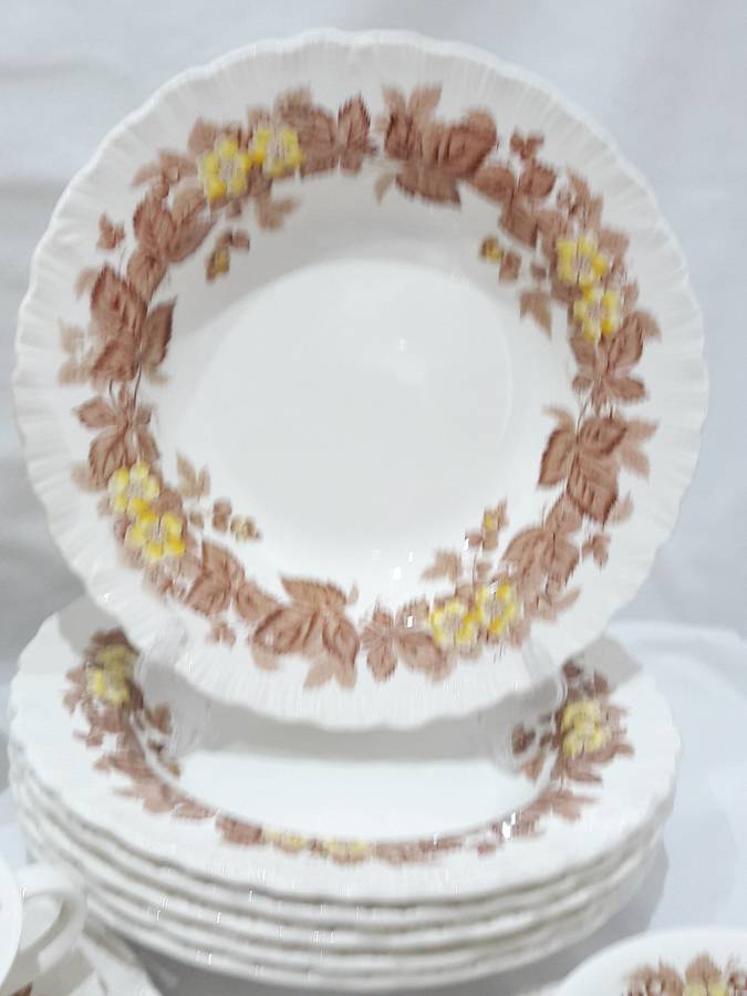 Vintage Wedgwood `Wildbriar` dinnerset