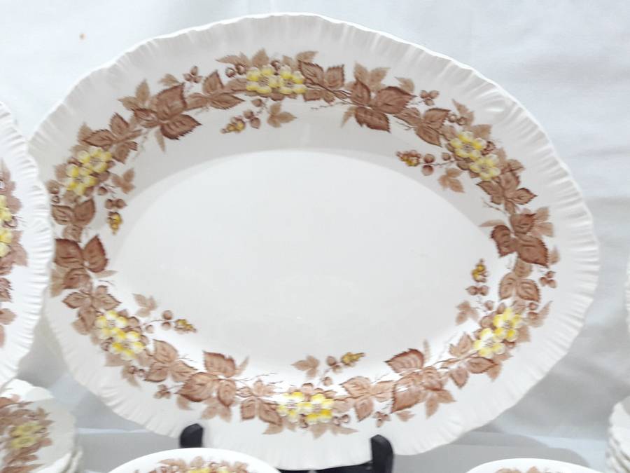 Vintage Wedgwood `Wildbriar` dinnerset