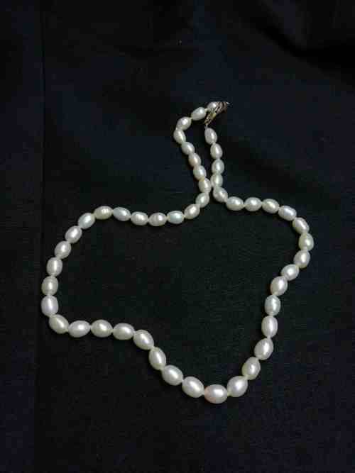 Genuine Water Pearls