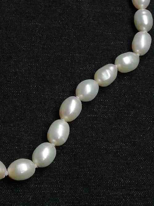 Genuine Water Pearls