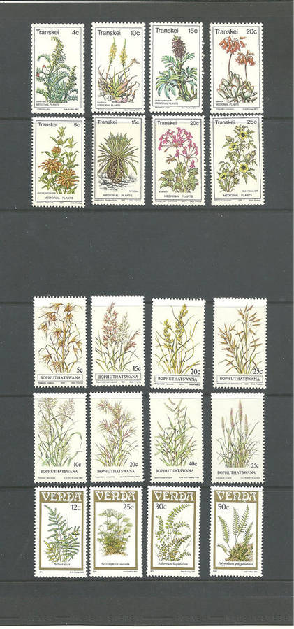 South Africa a collection of Indigenous Flora issued by the Homelands 5 Scans