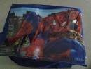 Spiderman COOLER BAG / LUNCH BAG - great party favor