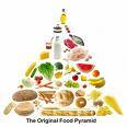 1000 Atkins Diet recipies e-book