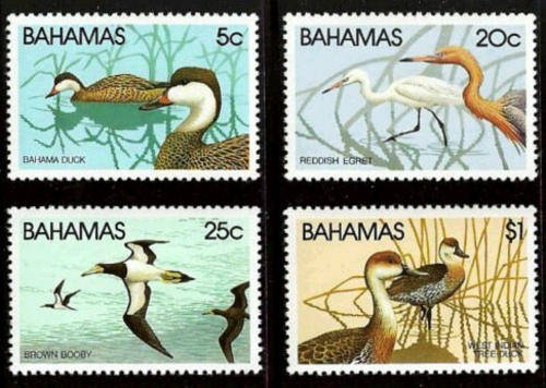 Bahamas, 1981, Sc492-495(4), MNH, Bird Stamps