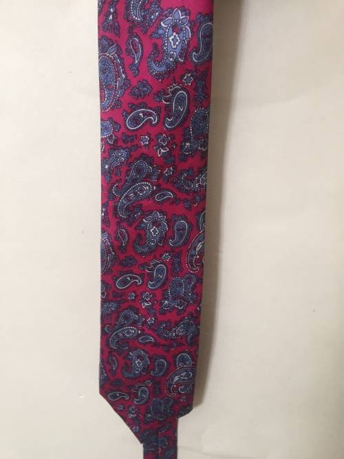 LYONI Paisley Print Silk Tie
