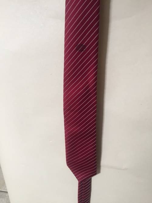 SERVUS Polyester Red Stripe Tie
