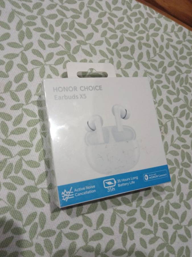 Honor Choice Earbuds X5