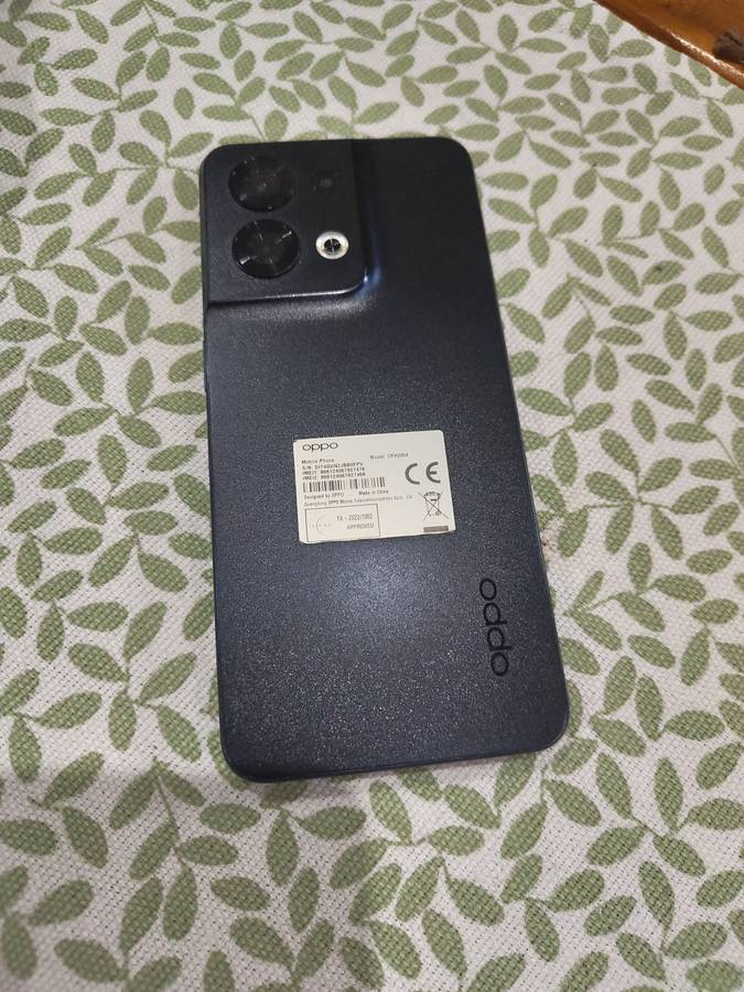 Oppo Reno 8 5G 256GB Dual Sim Smartphone | Mint