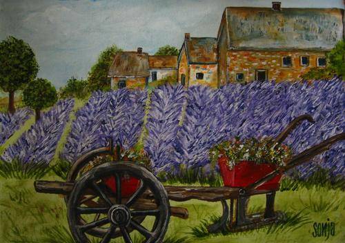 ***Acrylics - Lavender Farm - Sonja Peacock***