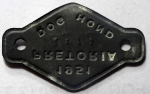 1951 Dog Licence