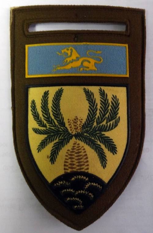 ## 4th SAIBattalion With Eastern Command Bar  Side Slip on Shoulder Flash  ##