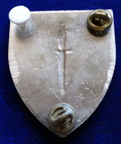 ## Transkei Special Forces Flash (pins intact) ##