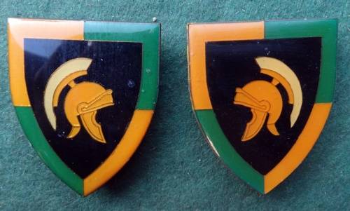 Pair of Regiment Edenvale Flash 3 pins (21)