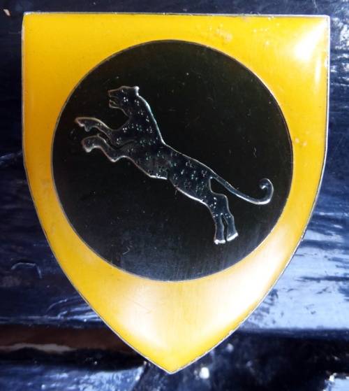 SADF  911 Battalion Pocket Flash. Pins intact (15)