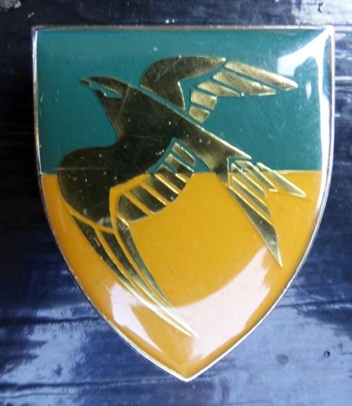 SADF 1 SWA Squadron  Pocket Flash. Pins intact (17)
