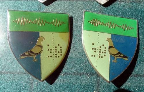 Pair Of  2 Signals Regiment Flashes . 4 Pins Intact (19)