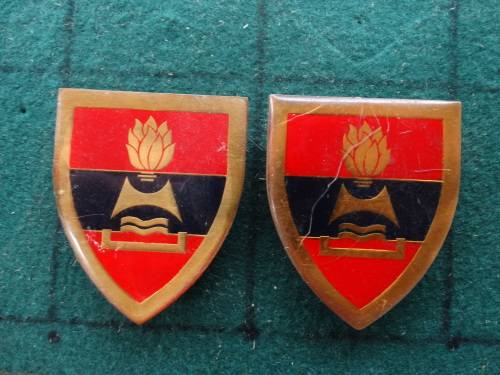 Pair of SADF 1 Construction Regiment Flashes Pins Intact (55)