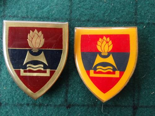 Pair of SADF 2 Field Engineers Variety Flashes Pins Intact (58)