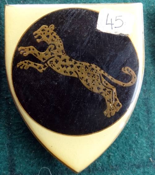 SADF 911 Battalion Flash .Pins Intact (85)