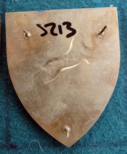 SADF 911 Battalion Flash .Pins Intact (85)