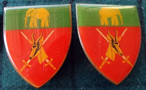 Pair of SADF Eastern Province Command  Pins Intact (4)