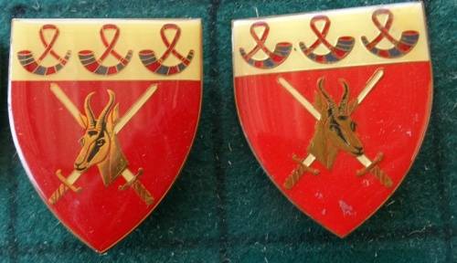 Pair of SADF Orange Free State Command  5 Pins Intact (6)