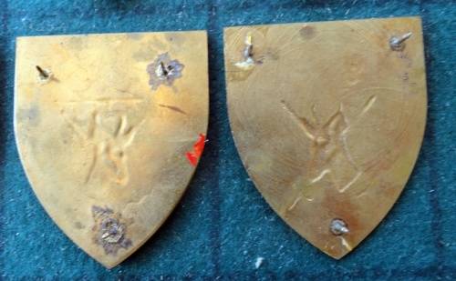 Pair Of SADF Natal Command.  Pins Intact (11)