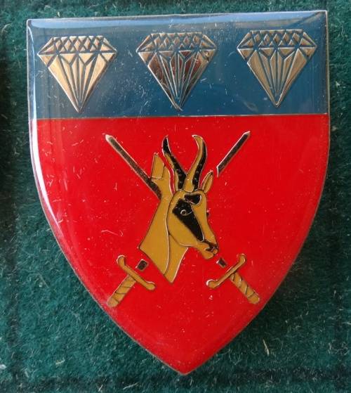 SADF Northen Cape Command. Pins Intact (13)