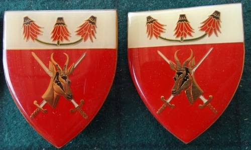 Pair of SADF Far North Command.5  Pins Intact (16)