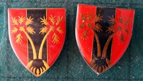 Pair of SADF Northen Logistics Command Provost Unit Flash.  Pins Intact (49)